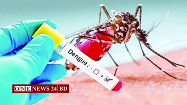 ২৪ ঘণ্টায় ডেঙ্গুতে ৩ জনের মৃত্যু, হাসপাতালে ৯৭