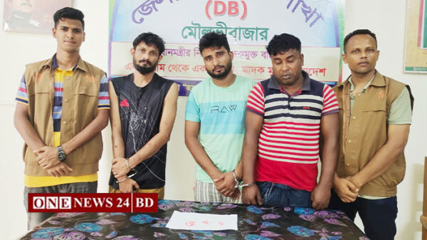 কমলগঞ্জে ডিবির অভিযানে ইয়াবাসহ তিন মাদক ব্যবসায়ী আটক