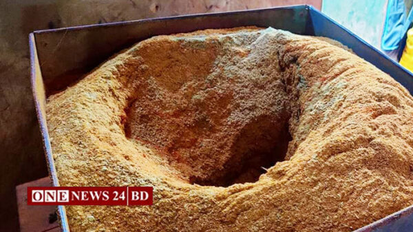কুঁড়ায় রং মিশিয়ে তৈরি হচ্ছিল হলুদ-মরিচের গুঁড়া!
