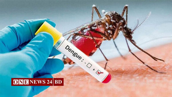 ডেঙ্গুতে একদিনে রেকর্ড ৮ জনের মৃত্যু