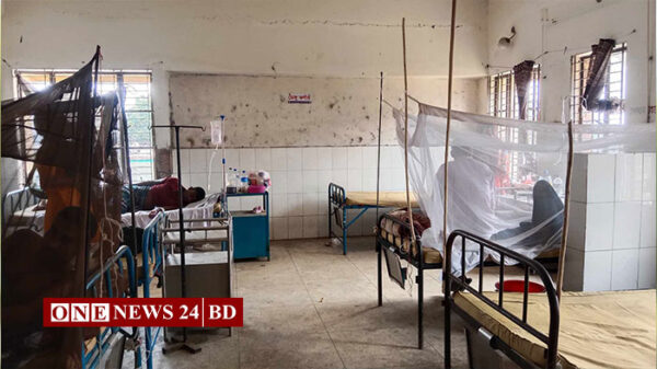 তাড়াইলে ডেঙ্গুর প্রাদুর্ভাব, প্রয়োজন জনসচেতনা