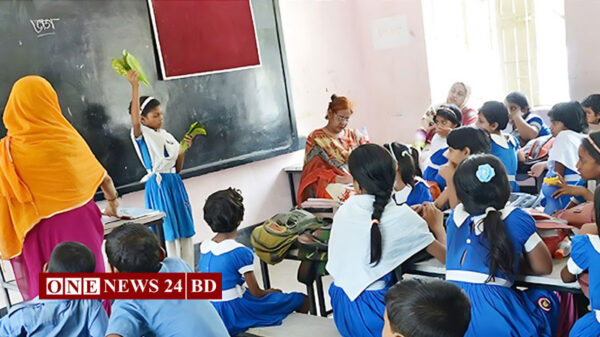 দুই শতাধিক স্কুলে নেই প্রধান শিক্ষক, পাঠদান মারাত্মকভাবে ব্যাহত
