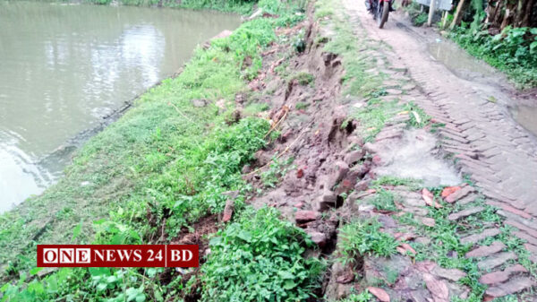 তাড়াইলে এমপি চুন্নু'র নিজস্ব অর্থায়নে কাঁচা রাস্তা পাকা করণের কাজ শুরু  