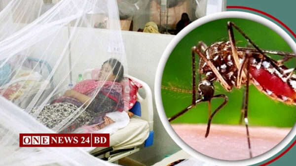 ডেঙ্গুতে আরও ১৩ জনের মৃত্যু, হাসপাতালে ২৭৪২