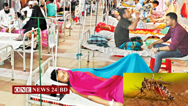 ডেঙ্গুতে আরও ১১ মৃত্যু, হাসপাতালে ২৭৮২