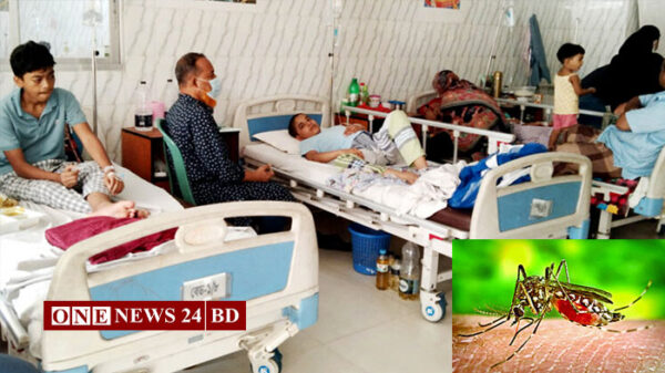ডেঙ্গুতে আরও ১৯ মৃত্যু, হাসপাতালে ভর্তি ৩০৩৩