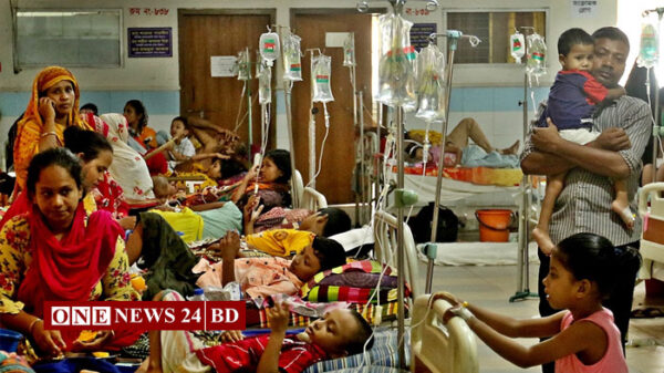 ডেঙ্গুতে আরও ১৩ মৃত্যু, নতুন শনাক্ত ২৪২৫