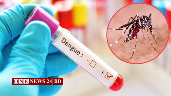 ডেঙ্গুতে মৃত্যু ১৩শ’ ছাড়াল