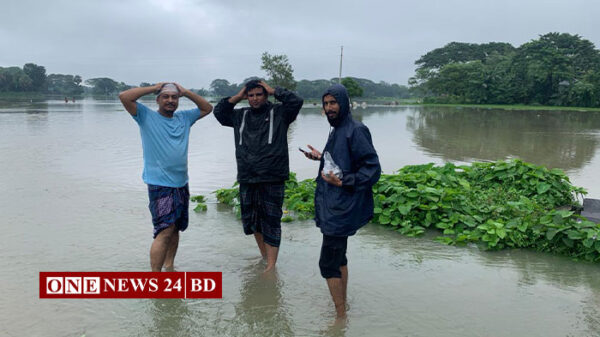 হোসেনপুরে টানা বর্ষণে মৎস্য খামারীদের ৮ কোটি টাকার ক্ষতি