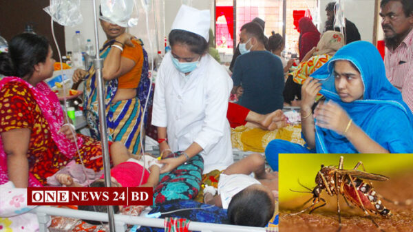 ডেঙ্গুতে আরও ৮ মৃত্যু, হাসপাতালে ভর্তি ১৭৪০