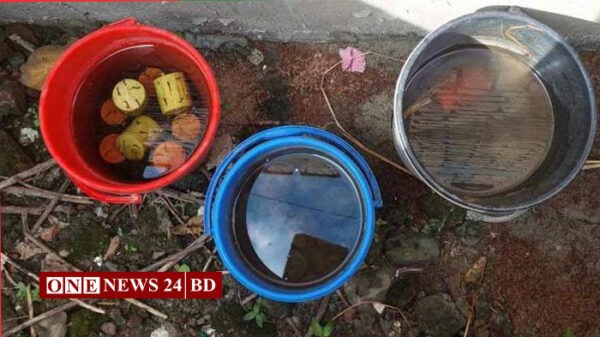 বেনাপোলে ১৬টি হাতবোমা উদ্ধার