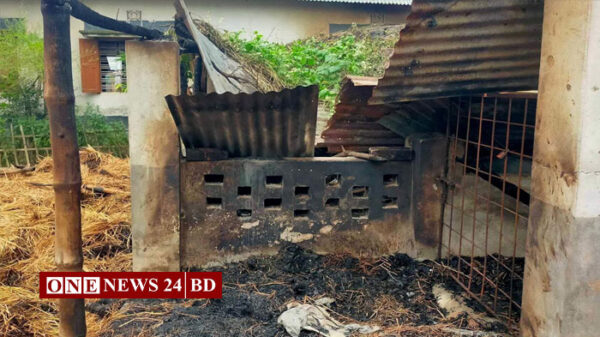 প্রস্তাবে রাজি না হওয়ায় প্রেমিকার বাড়িতে আগুন