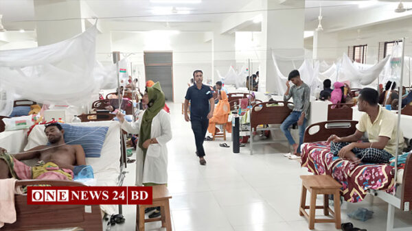 ডেঙ্গুতে মৃত্যু ১৪০০ ছাড়াল