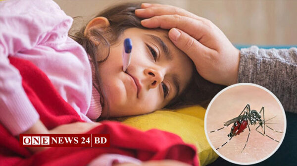 ডেঙ্গুতে মৃত্যু ৮, হাসপাতালে ভর্তি ১১৬২