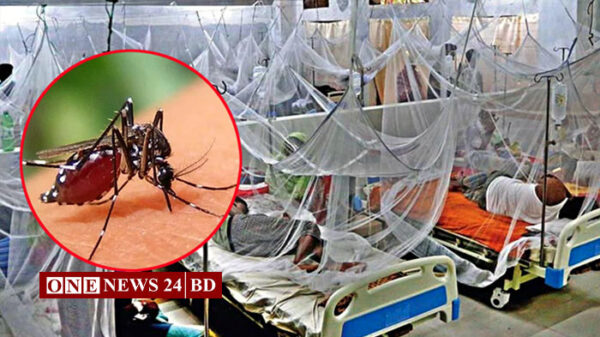 ডেঙ্গুতে আরও ১৫ মৃত্যু, হাসপাতালে ১৭২৮