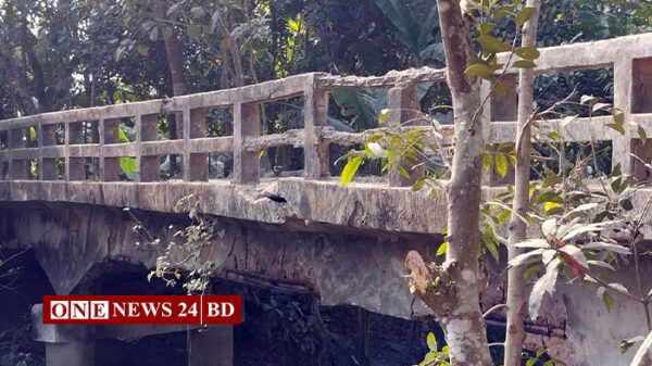 হোসেনপুরে বৈঠাখালী ব্রীজ এখন মরণ ফাঁদ: আতঙ্কে এলাকাবাসী