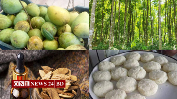 জিআই অনুমোদন পেল আরও ৪ পণ্য