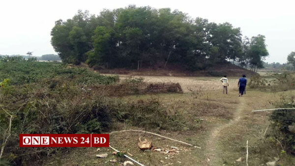 চা বাগানে নিজের ফলানো গাছ কেটে বিপাকে চা শ্রমিক জুগেশ