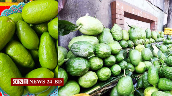 লেবুর রাজ্যে লেবুর দাম বেড়ে ৪ গুণ