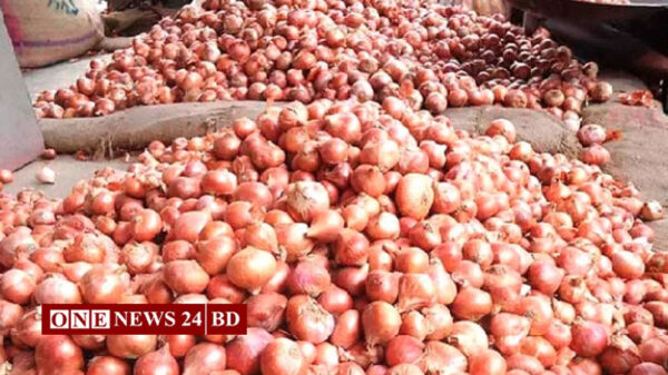 তাড়াইলে আবার শতক ছাড়াল পেঁয়াজের কেজি