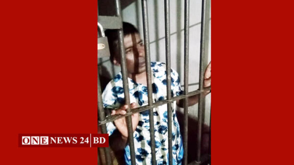 চুরি করা গরু জবাই করে মাংস পাচারকালে আটক-২