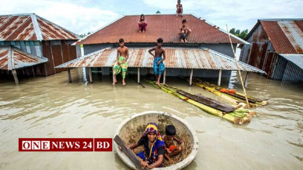 বন্যায় ১১ জেলায় মৃত্যু বেড়ে ৫২, ফেনীতে সর্বোচ্চ