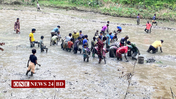 মাছ শিকারের উৎসবে মেতেছেন সৌখিন মৎস্য শিকারী