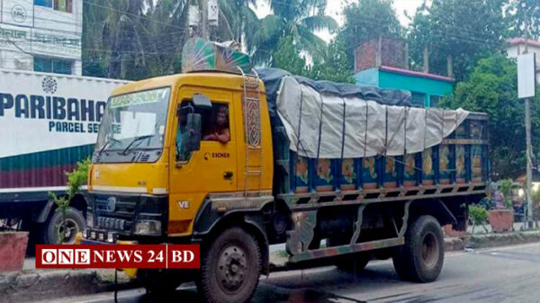 ভারতে প্রথম চালানে গেলো ১২ টন ইলিশ