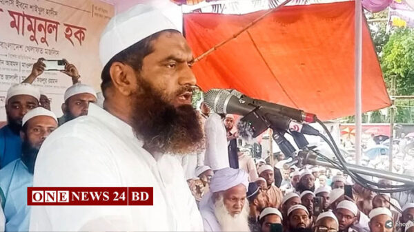 ইসলামবিরোধী এজেন্ডা বাস্তবায়নের চেষ্টা করলে কারবালা তৈরি করব: মামুনুল হক