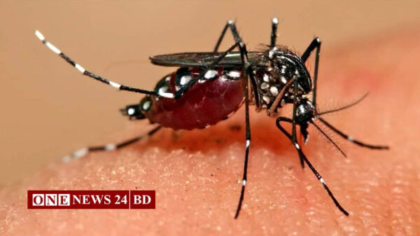 ডেঙ্গুতে একদিনে ৭ মৃত্যু, হাসপাতালে ভর্তি ৮৬০