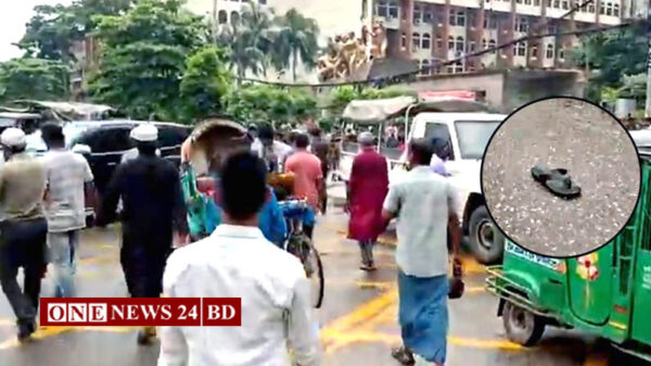 পদত্যাগের পর নির্বাচন কমিশনারদের ধাওয়া, গাড়িতে জুতা নিক্ষেপ