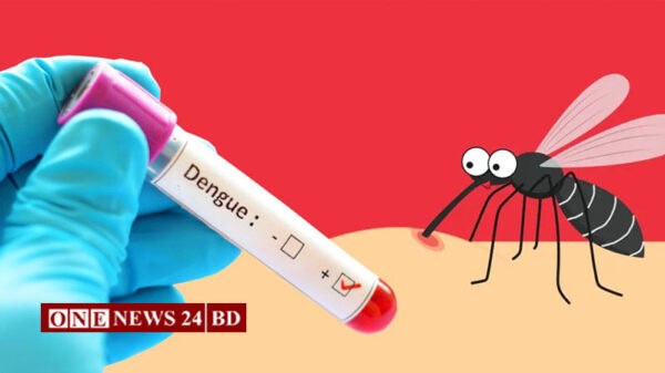 ডেঙ্গুতে ১৩ দিনে ২০ জনের মৃত্যু