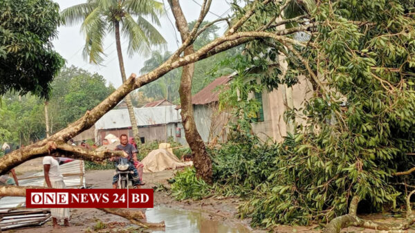 হোসেনপুরে হঠাৎ ঝড়ে ১২ গ্রাম লন্ডবন্ড : ঘরবাড়ি গাছপালা ও উঠতি ফসলের ব্যাপক ক্ষতি।