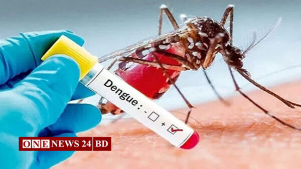 ডেঙ্গুতে প্রাণ গেল ৬ জনের, শনাক্ত ১ হাজার ২৯৮