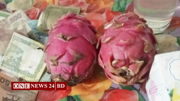 দুটি ড্রাগন ফল নিলামে ৪৫ হাজার টাকায় বিক্রি