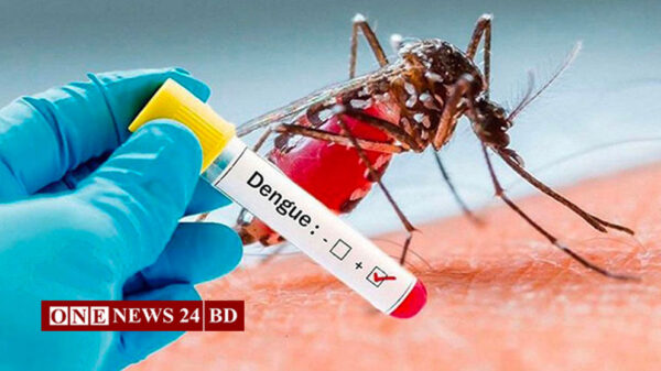 ডেঙ্গুতে আরও ৭ জনের মৃত্যু