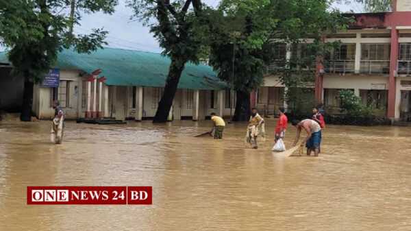 শেরপুরে বন্যায় বন্ধ ২৪২ প্রাথমিক বিদ্যালয়