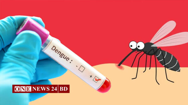 চলতি বছর ডেঙ্গুতে মৃত্যু ২০০ ছুঁইছুঁই