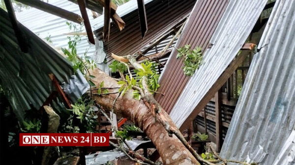 ঝালকাঠিতে ঝড়ে লণ্ডভণ্ড ঘর-বাড়ি, গবাদিপশুর মৃত্যু