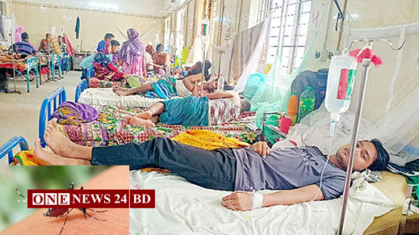 ডেঙ্গুতে আরও ৬ জনের মৃত্যু, হাসপাতালে ভর্তি ১,২৪৮
