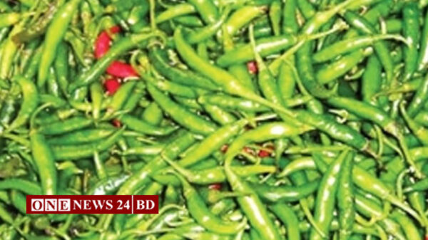 একটি মরিচের দাম ২ থেকে ৩ টাকা