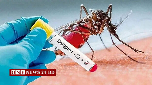 ডেঙ্গুতে আরও ৬ প্রাণহানি, হাসপাতালে নতুন ভর্তিতে রেকর্ড