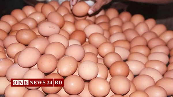 ১৩ পয়েন্টে কম দামে ডিম রোববার থেকে