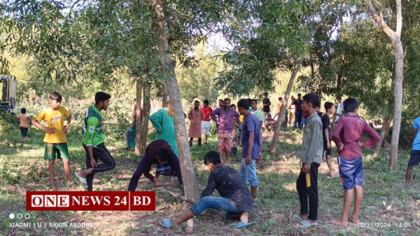 কমলগঞ্জে সরকারি ভূমির অপরিপক্ক গাছ কর্তন করে লুটপাট