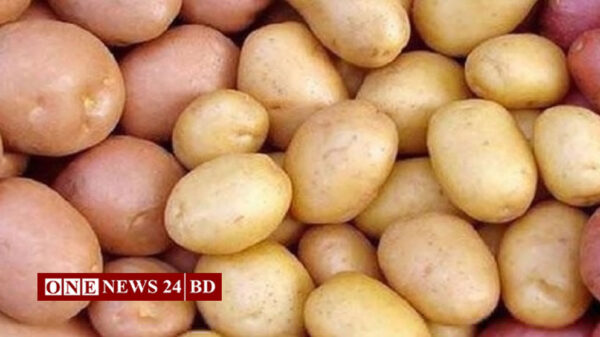 বুধবার থেকে ট্রাকে আলু বিক্রি করবে টিসিবি