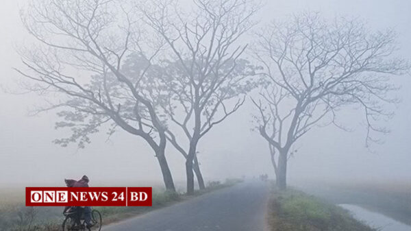 তীব্র শীতে কাঁপছে তেঁতুলিয়া, তাপমাত্রা নেমেছে ১২ ডিগ্রিতে