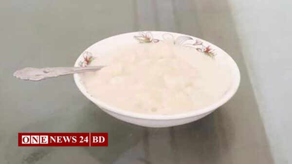 জিআই পণ্যের স্বীকৃতি পেল শেরপুরের ছানার পায়েস