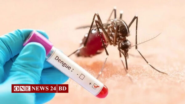 ডেঙ্গুতে প্রাণ গেল আরও ৪ জনের, হাসপাতালে ভর্তি ২৪১