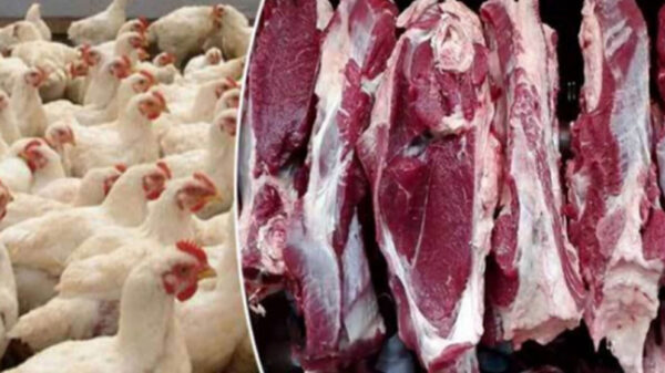 শবে বরাতে বেড়েছে গরু ও খাসির মাংসের দাম