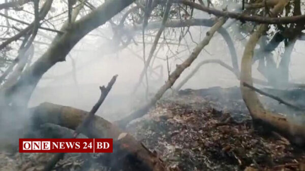 সুন্দরবনের ৩ একরজুড়ে ছড়ানো আগুন নিয়ন্ত্রণে ‘ফায়ার লাইন’